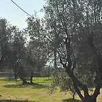 Minteco Patù