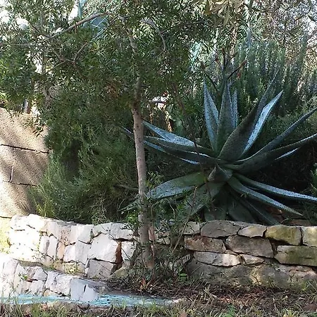 Il Giardino Del Fauno Апартаменты *