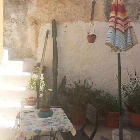 Minteco * Patù