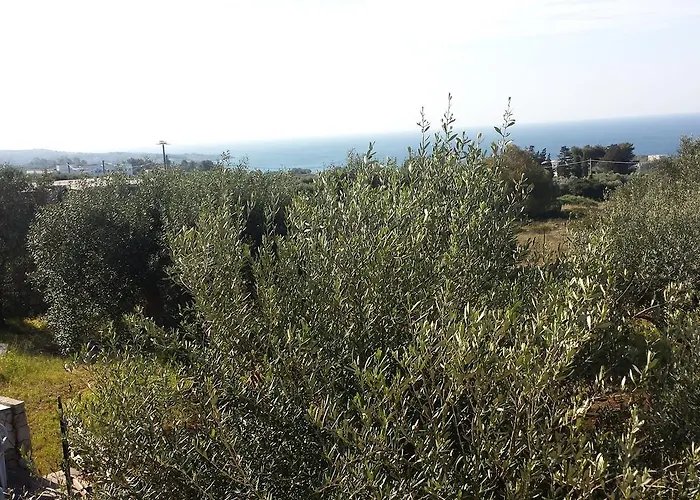 Apartamento Minteco *