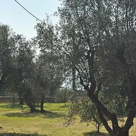 Il Giardino Del Fauno Пату