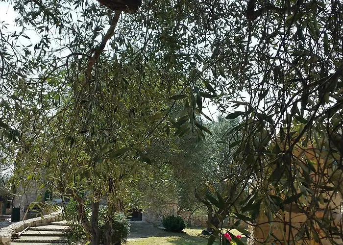 Minteco Апартаменты *