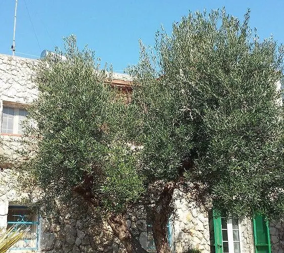 Minteco Appartement Patù