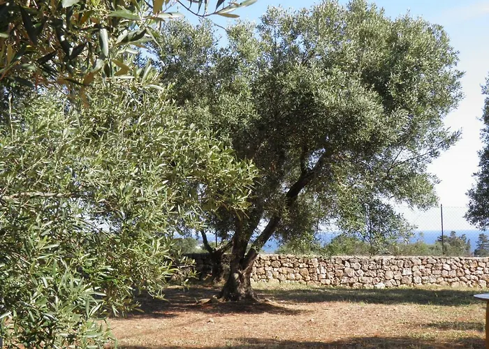 Minteco Appartement *