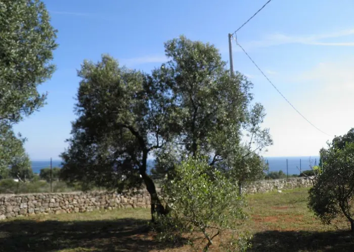 Appartement Minteco *